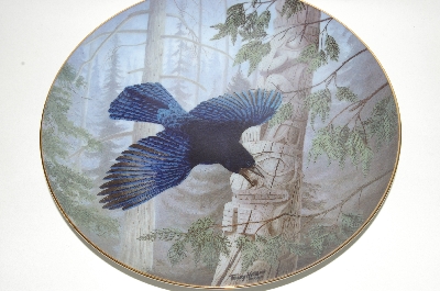+MBA #69-095  " 1989 Terry McLean "Herald Of The Woods" Collectors Bird Plate