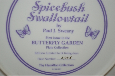 +  Artist Paul J. Sweany "Spicebush Swallowtail" 1986