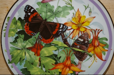 + Artist Paul J. Sweany "Red Admiral"1986