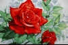 + The American Rose Garden "AMERICAN SPIRT" 1987