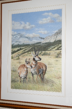 +MBA #FL7-179   "Origional 1988 Pastel Painting "Pair Of Antelope" By Artist David Totten