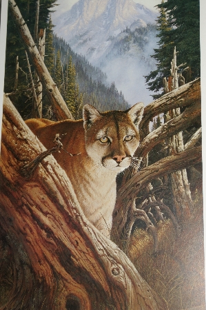 +MBA #FL7-073  "1988 Keeping An Eye On The Wild" By Artist Derk  Hansen