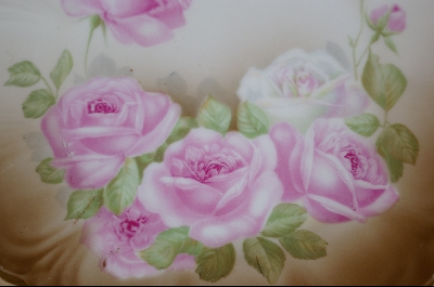 +MBA #7046  "Made In Bavaria Hand Painted Rose Plate