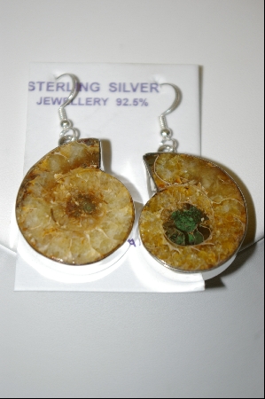 +MBA #7674 Ammonite Fossil Shell Sterling Pierced Earrings